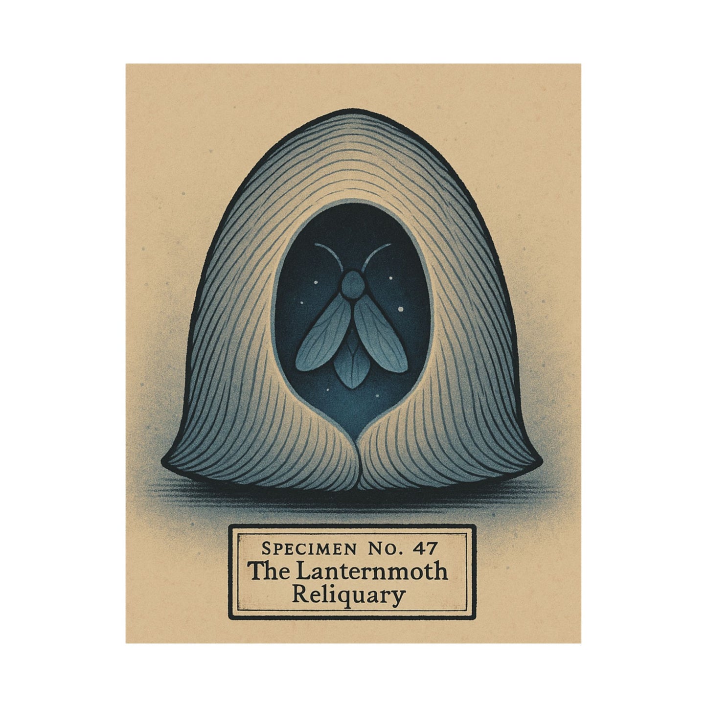 Specimen No. 47 - Lanternmoth Poster