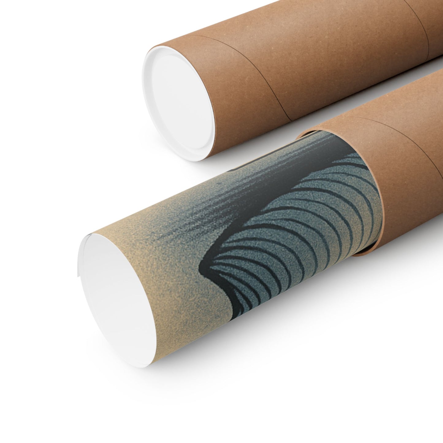 Specimen No. 47 - Lanternmoth Poster